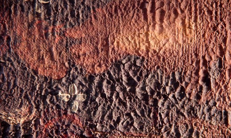 Causes de dégradations de tableau à Avignon